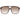 Guess Brown Men Sunglasses