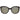 Police Brown Women Sunglasses