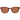 Gant Brown Men Sunglasses