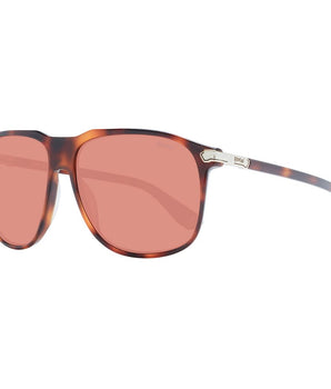 BMW Brown Plastic Sunglasses