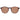 Gant Brown Men Sunglasses