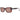 Sting Brown Unisex Sunglasses