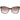 Police Brown Women Sunglasses