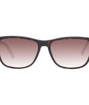 Police Brown Acetate & Plastic Sunglasses