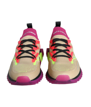 Dolce &amp; Gabbana Zapatillas bajas multicolor Super King Zapatos