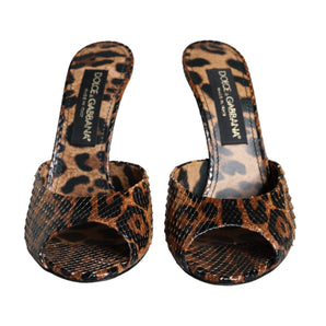 Dolce & Gabbana Brown Leopard Leather Slides Heels Sandals Shoes