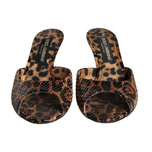 Dolce & Gabbana Brown Leopard Leather Slides Heels Sandals Shoes