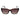 Guess Brown Women Sunglasses