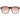 Guess Brown Unisex Sunglasses