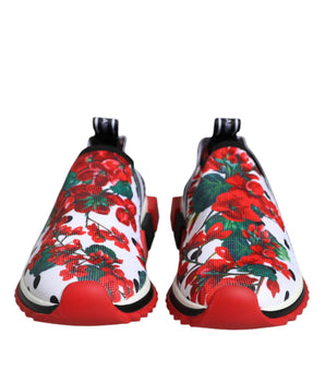 Dolce &amp; Gabbana Multicolor Geranium Sorrento Sneakers Shoes