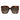 Jimmy Choo Brown Acetate Sunglasses