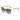 Jimmy Choo Brown Acetate Sunglasses