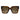 Jimmy Choo Brown Acetate Sunglasses