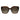 Jimmy Choo Brown Acetate Sunglasses