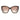 Jimmy Choo Brown Plastic Sunglasses