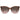 Jimmy Choo Brown Acetate Sunglasses