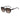 Jimmy Choo Brown Acetate Sunglasses