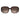 Jimmy Choo Brown Acetate Sunglasses