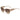 Jimmy Choo Multicolor Acetate Sunglasses