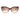 Jimmy Choo Brown Acetate Sunglasses