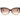 Jimmy Choo Brown Acetate Sunglasses
