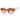 Guess Brown Resin Sunglasses