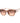 Guess Brown Resin Sunglasses