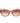 Guess Brown Resin Sunglasses