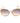 Guess Brown Resin Sunglasses