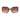 Guess Brown Resin Sunglasses