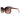 Guess Brown Resin Sunglasses