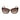 Guess Brown Resin Sunglasses