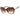 Guess Brown Resin Sunglasses