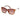 Guess Brown Resin Sunglasses