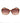 Guess Brown Resin Sunglasses