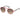 Guess Multicolor Acetate Sunglasses