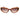 Guess Brown Plastic Sunglasses