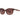 Guess Brown Resin Sunglasses