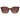 Guess Brown Resin Sunglasses