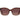 Guess Brown Resin Sunglasses