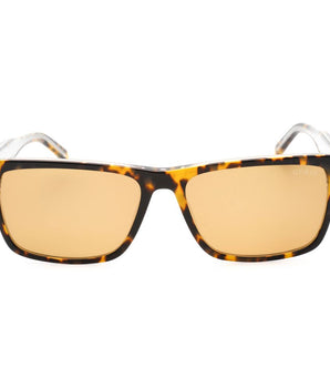 Guess Brown Resin Sunglasses