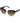 Marciano by Guess Brown Acetate Sunglasses