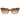 Guess Brown Resin Sunglasses