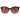 Guess Brown Resin Sunglasses