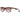 Carrera Burgundy Plastic Sunglasses