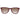 Carrera Burgundy Plastic Sunglasses