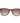 Carrera Burgundy Plastic Sunglasses