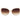 Guess Brown Resin Sunglasses