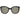 Police Brown Acetate Sunglasses