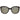 Police Brown Acetate Sunglasses